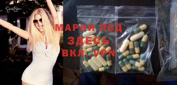 ECSTASY Алзамай