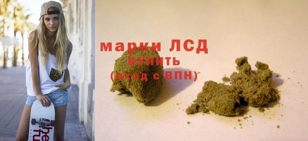 ECSTASY Алзамай