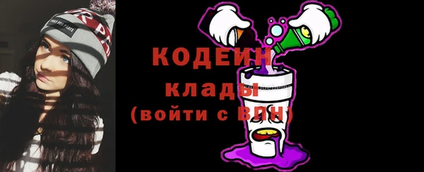 ECSTASY Алзамай
