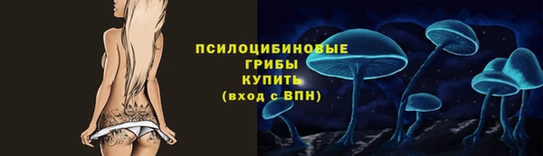 ECSTASY Алзамай