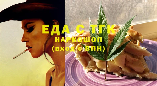 ECSTASY Алзамай