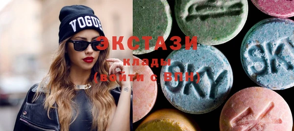 ECSTASY Алзамай