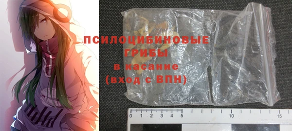 ECSTASY Алзамай